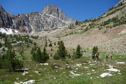 Approaching thompson peak with (left to right) constance, aaron, june and bob [thu jul 2 11:32:40 mdt 2015]